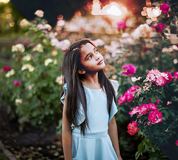 پریست و لایت روم