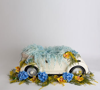 بک دراپ های متنوع