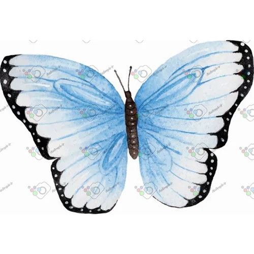 وکتور پروانه آبرنگی-کد 10986