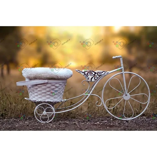 بک دراپ نوزاد سبد روی دوچرخه آهنی-کد 5764