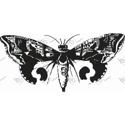وکتور پروانه سیاه و سپید-کد 10998