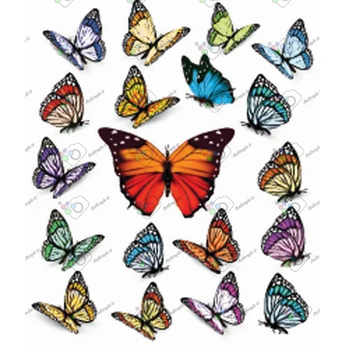 وکتور پروانه در 19 طرح-کد 11028