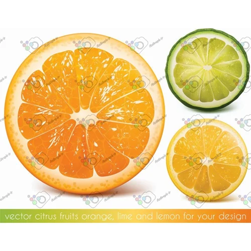 وکتور لیمو و پرتقال برش خورده در سه شکل-کد 11956