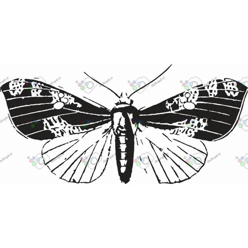 وکتور پروانه سیاه و سپید-کد 10996