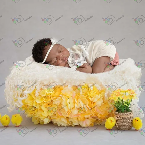 بک دراپ نوزاد تخت خواب و گل نرگس و جوجه ها-کد 5660