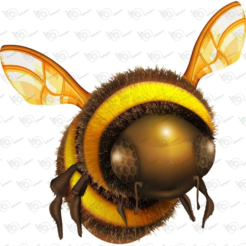 دانلود وکتور زنبور -کد 10021