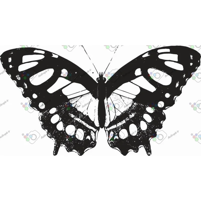 وکتور پروانه سیاه و سپید-کد 11019