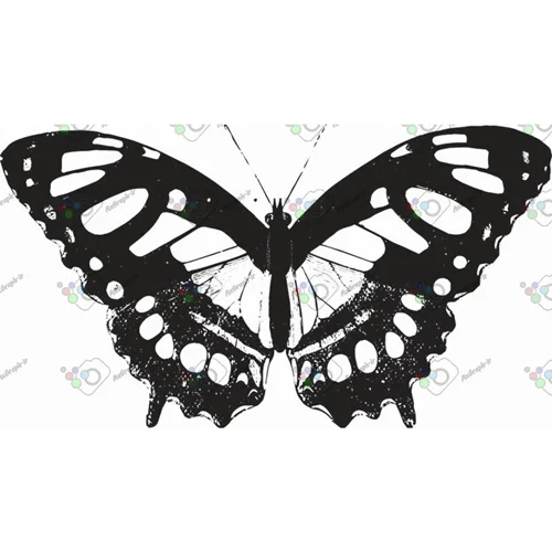 وکتور پروانه سیاه و سپید-کد 11019
