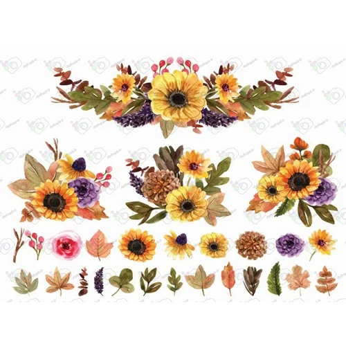 دانلود وکتور گل آفتابگردون و برگ های پاییزی-کد 10380