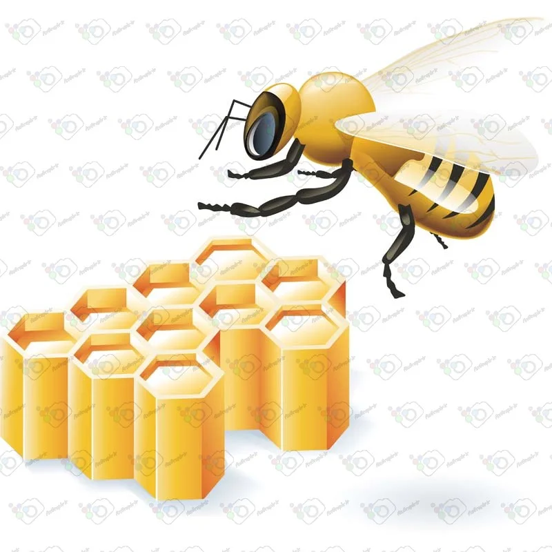 دانلود وکتور زنبور و کندوی عسل -کد 10023