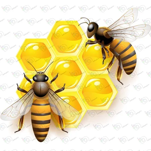 دانلود وکتور کارتونی زنبور و کندوی عسل -کد 10031