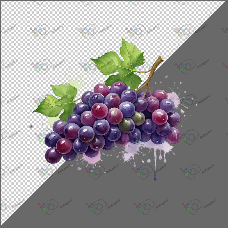 طرح برچسب انگور-کد 70180(ویژه عکس گراف)
