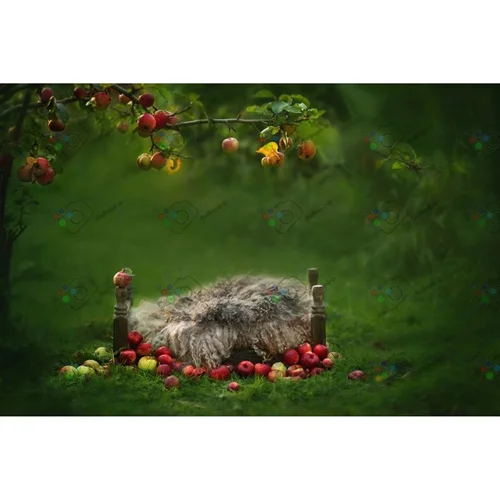 بک دراپ نوزاد تخت خواب چوبی در باغ سیب-کد 5337