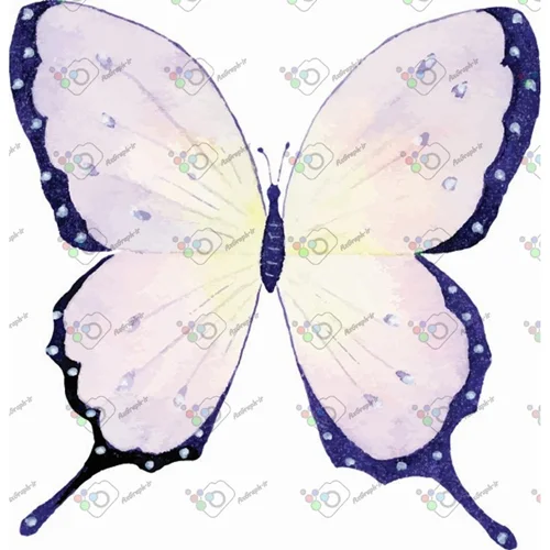وکتور پروانه آبرنگی-کد 10984