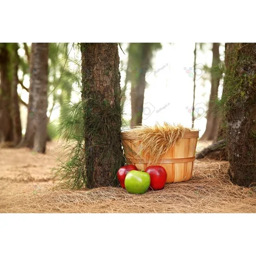 بک دراپ نوزاد سطل چوبی و سیب قرمز و سبز در طبیعت-کد 5161