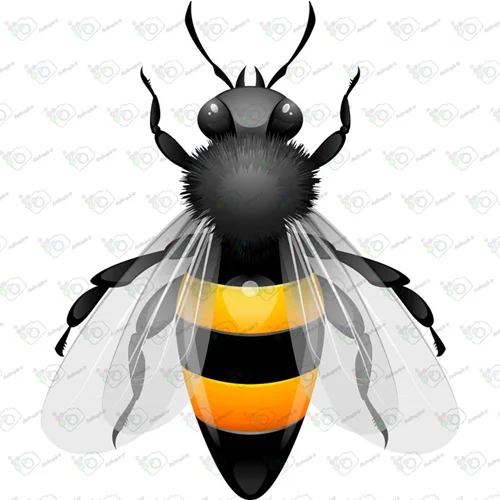 دانلود وکتور زنبور سیاه-کد 10026