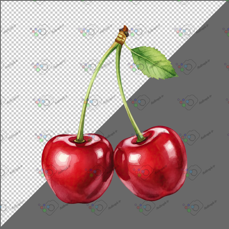 طرح برچسب گیلاس-کد 70184(ویژه عکس گراف)