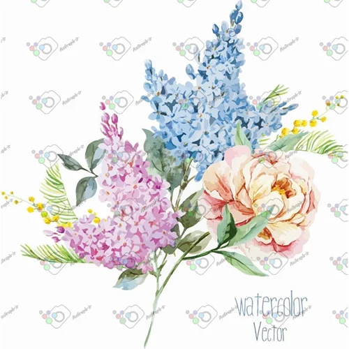 وکتور گل رز و دسته گل یاس آبی و بنفش-کد 11622