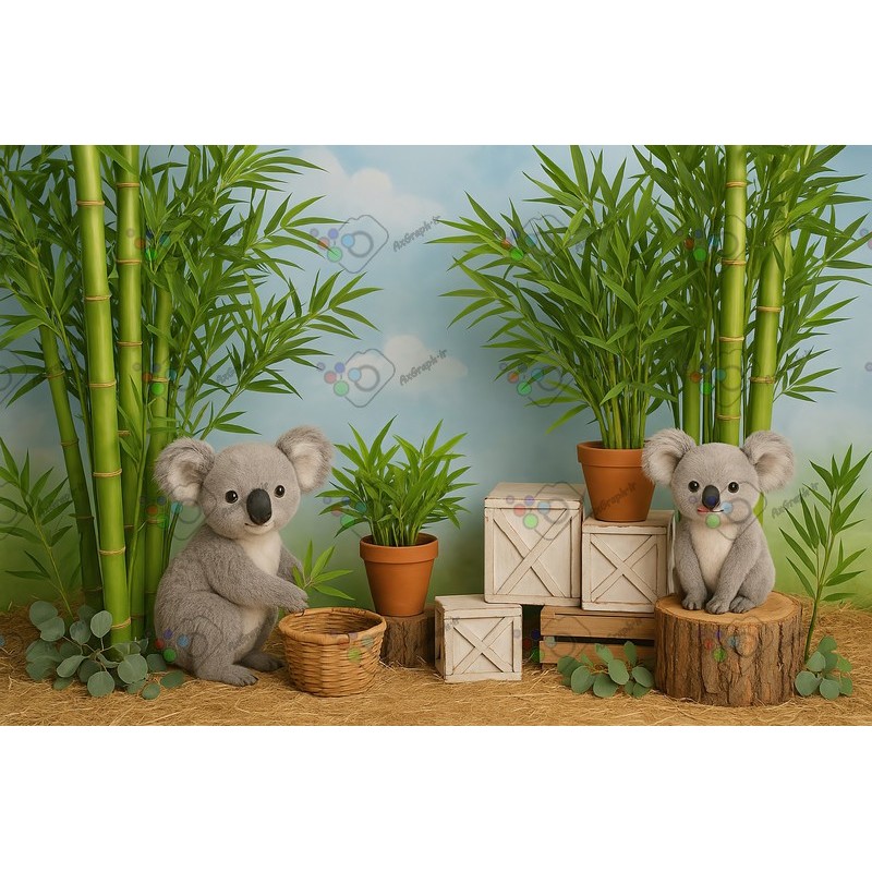 بک دراپ کودک تم کوالا-کد 55428(ویژه عکس گراف)