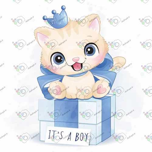 وکتور کودکانه گربه ناز تاجدار روی جعبه هدیه آبی-کد 11690