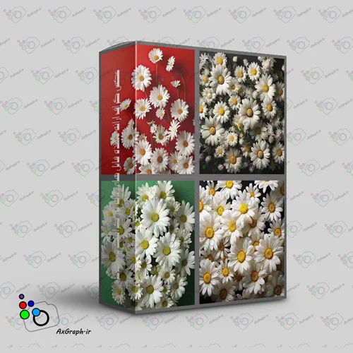 مجموعه 6 بک دراپ عکاسی گلهای بابونه -کد 50060