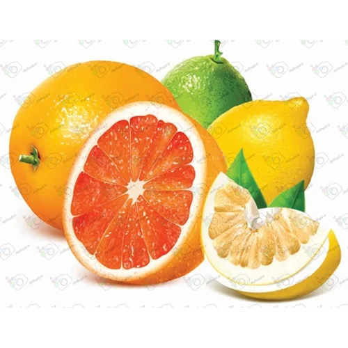 وکتور  پرتقال و لیمو-کد 10903