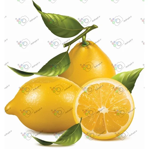 وکتور لیموی کامل و برش خورده-کد 11951