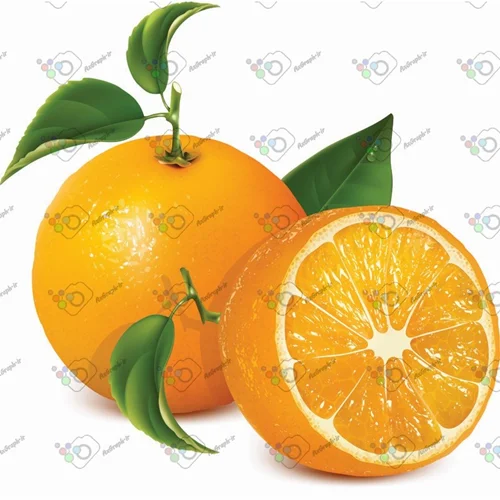 وکتور پرتقال کامل و برش خورده-کد 11955