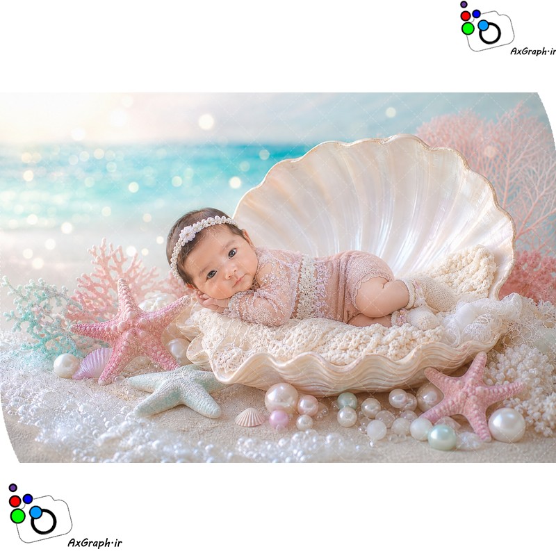 بک دراپ نوزاد صدف در ساحل-کد 55509(ویژه عکس گراف)