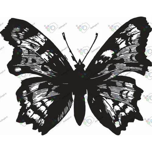 وکتور پروانه سیاه و سپید-کد 10991