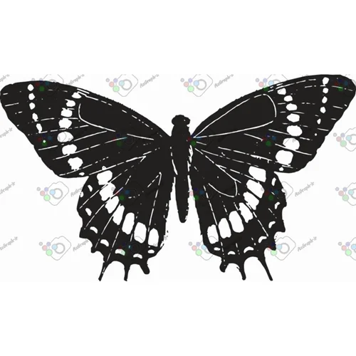 وکتور پروانه سیاه و سپید-کد 10989