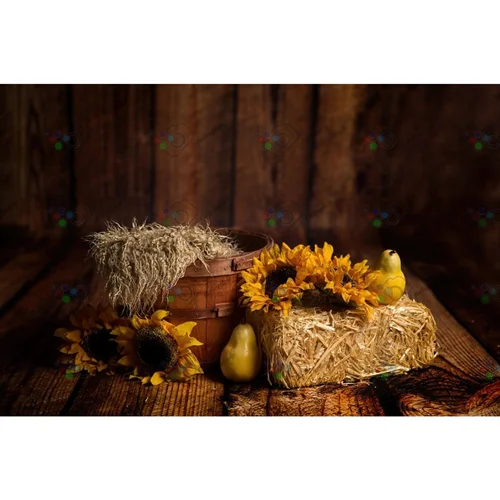 بک دراپ نوزاد سطل چوبی و گل آفتابگردون و گلابی در انبار کاه-کد 5699