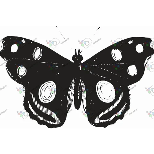 وکتور پروانه سیاه و سپید-کد 11008