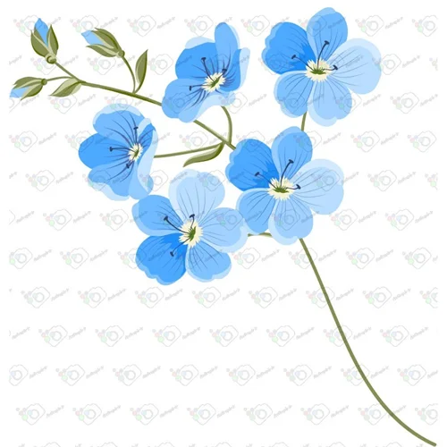 دانلود وکتور گلهای ریز آبی -کد 10385