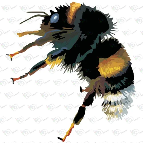 دانلود وکتور زنبور سیاه-کد 10027