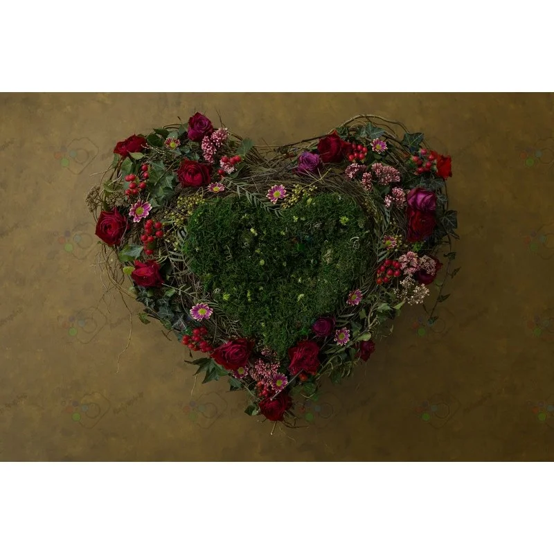 بک دراپ نوزاد قلب گل آرایی-کد 5259