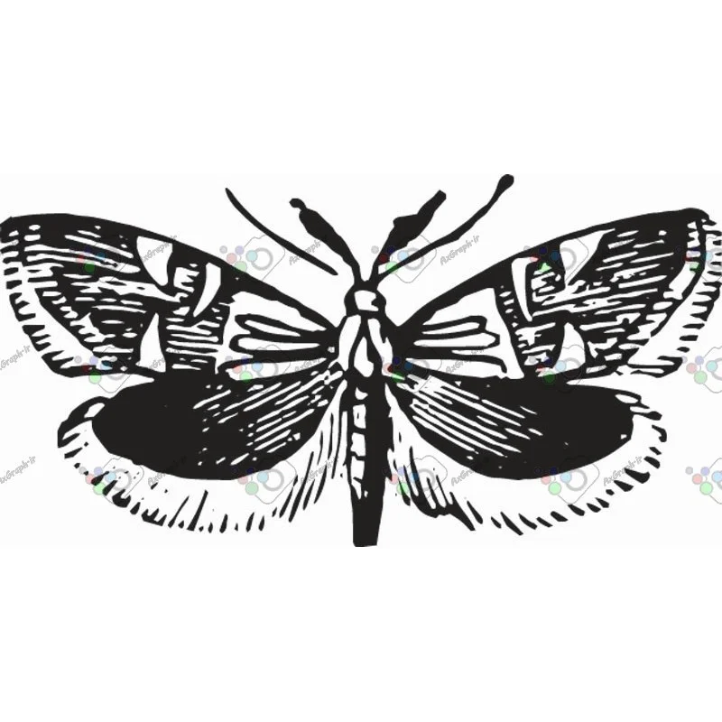 وکتور پروانه سیاه و سپید-کد 11024
