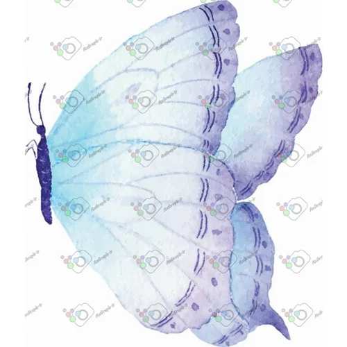 وکتور پروانه آبرنگی-کد 10982