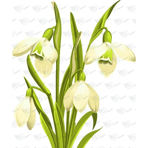 دانلود وکتور گلهای برفی -کد 10389
