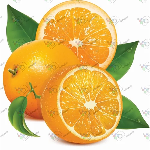 وکتور پرتقال کامل و برش خورده-کد 11948