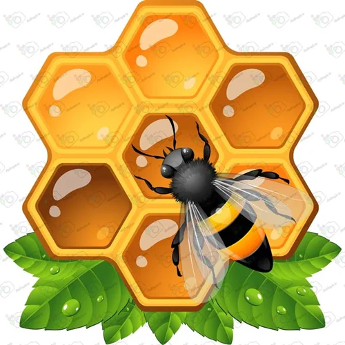 دانلود وکتور کارتونی زنبور و کندوی عسل -کد 10028