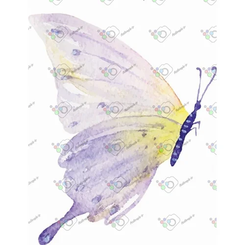 وکتور پروانه آبرنگی-کد 10967