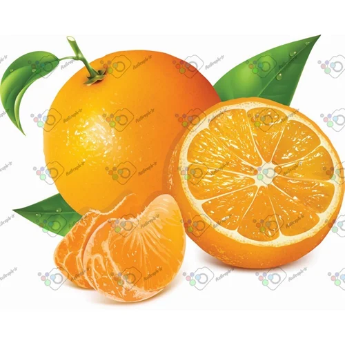 وکتور پرتقال کامل و برش خورده-کد 11953