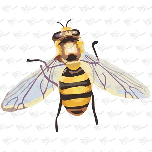 دانلود وکتور زنبور -کد 10032
