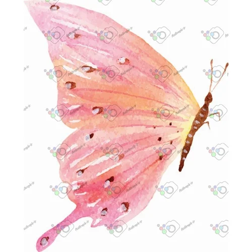 وکتور پروانه آبرنگی-کد 10968