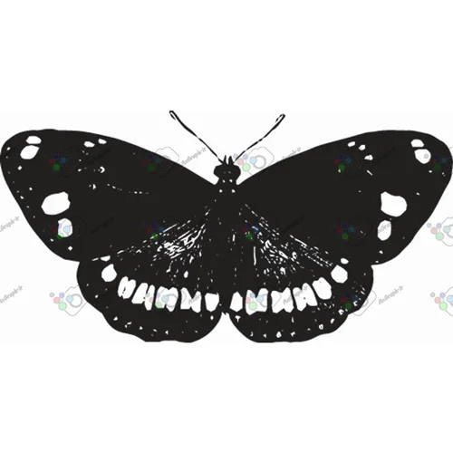 وکتور پروانه سیاه و سپید-کد 11007