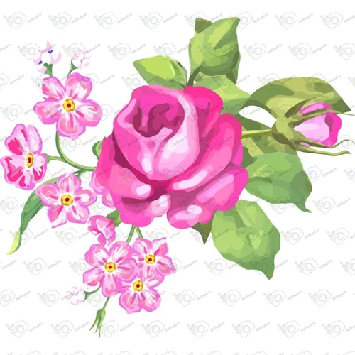 دانلود وکتور گل رز و شکوفه های صورتی-کد 10253
