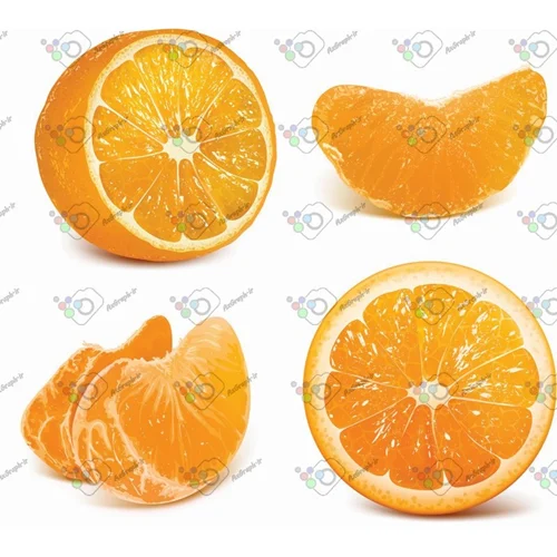 وکتور پرتقال برش خورده در 4 شکل-کد 11954