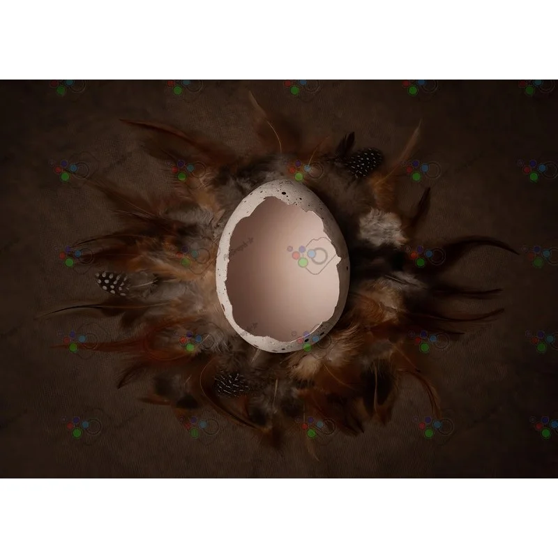 بک دراپ نوزاد پوسته تخم مرغ-کد 5327