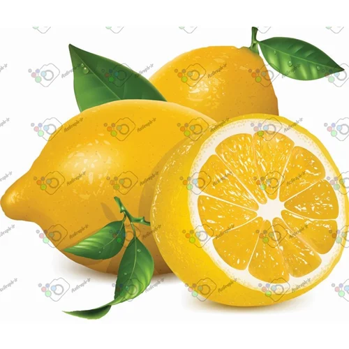 وکتور لیموی کامل و برش خورده-کد 11952